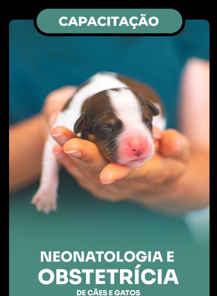Capa de curso CertificaVet