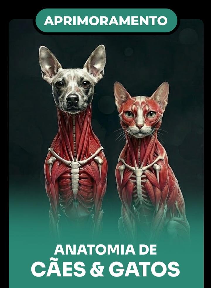 Capa de curso CertificaVet