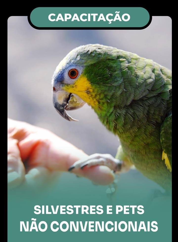 Capa de curso CertificaVet