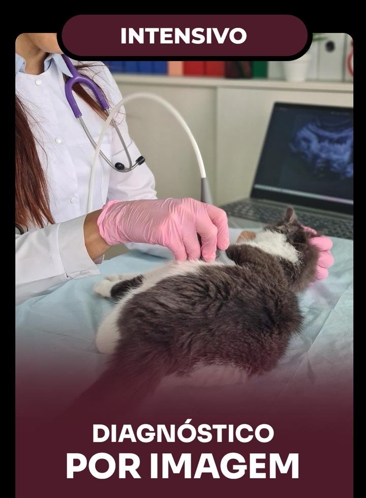 Capa de curso CertificaVet